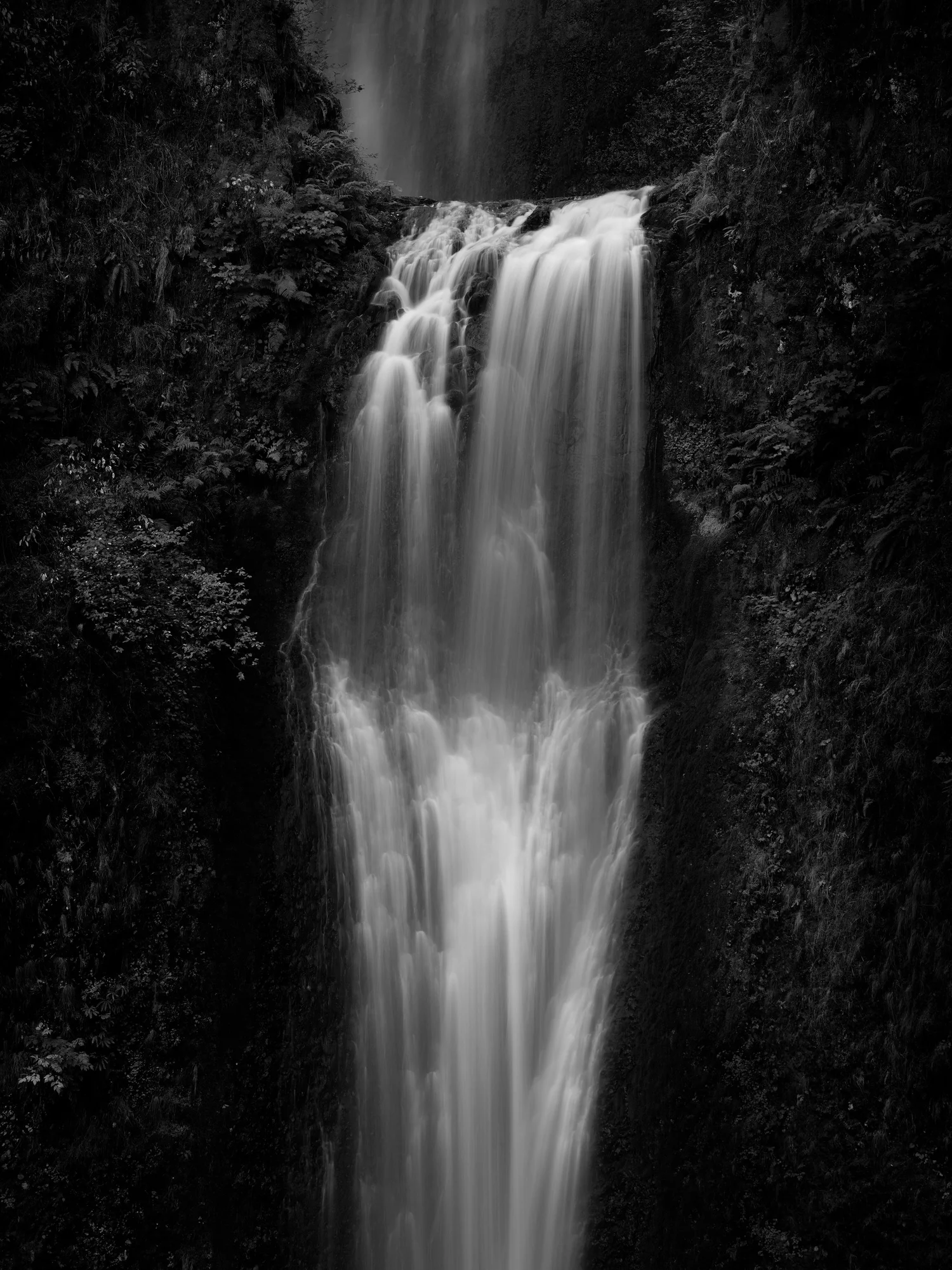 Infinity is Forever Branching